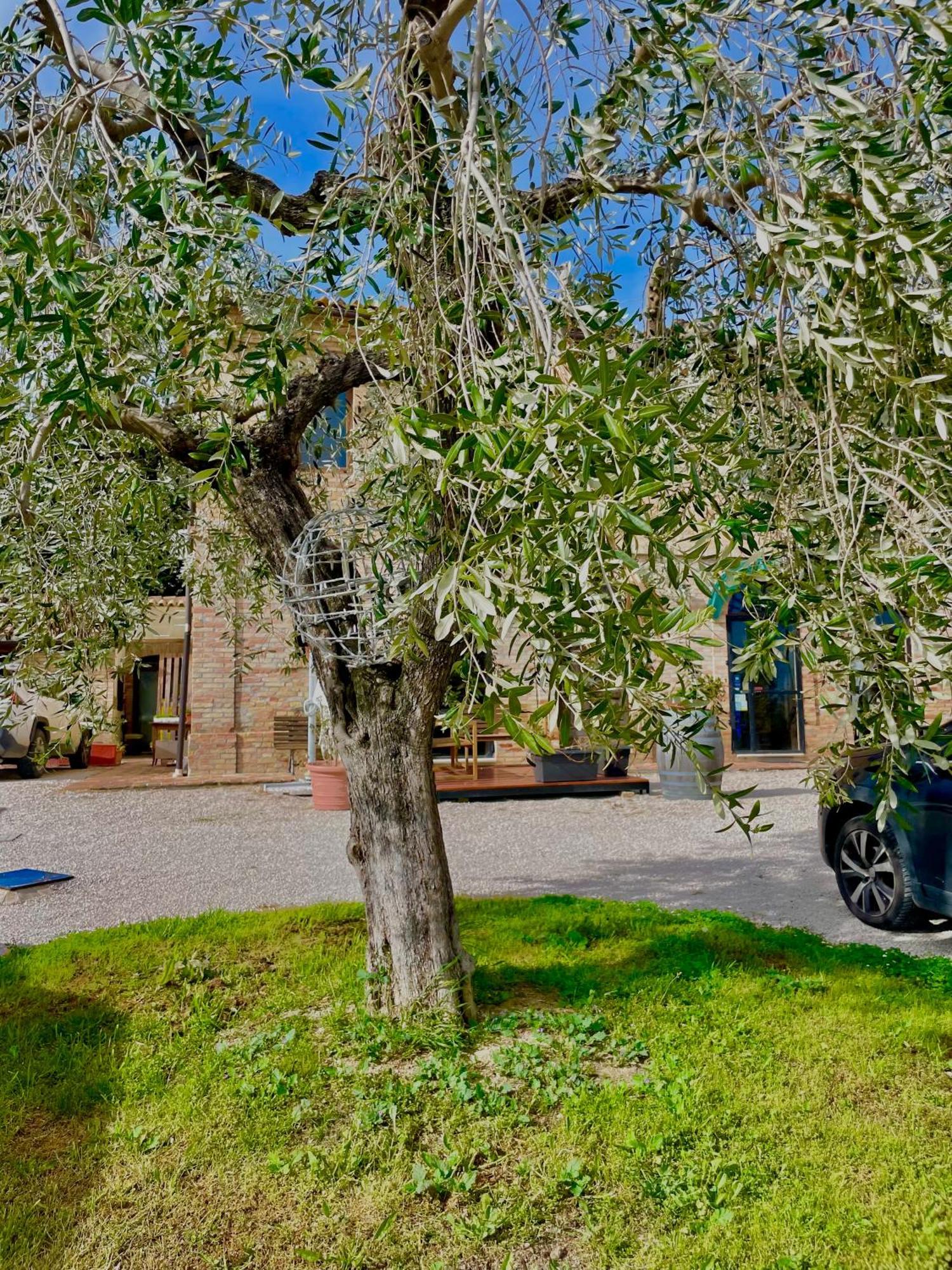 Masseria Tattoni - Residenza Di Campagna - Narramondo Villas Bellante エクステリア 写真